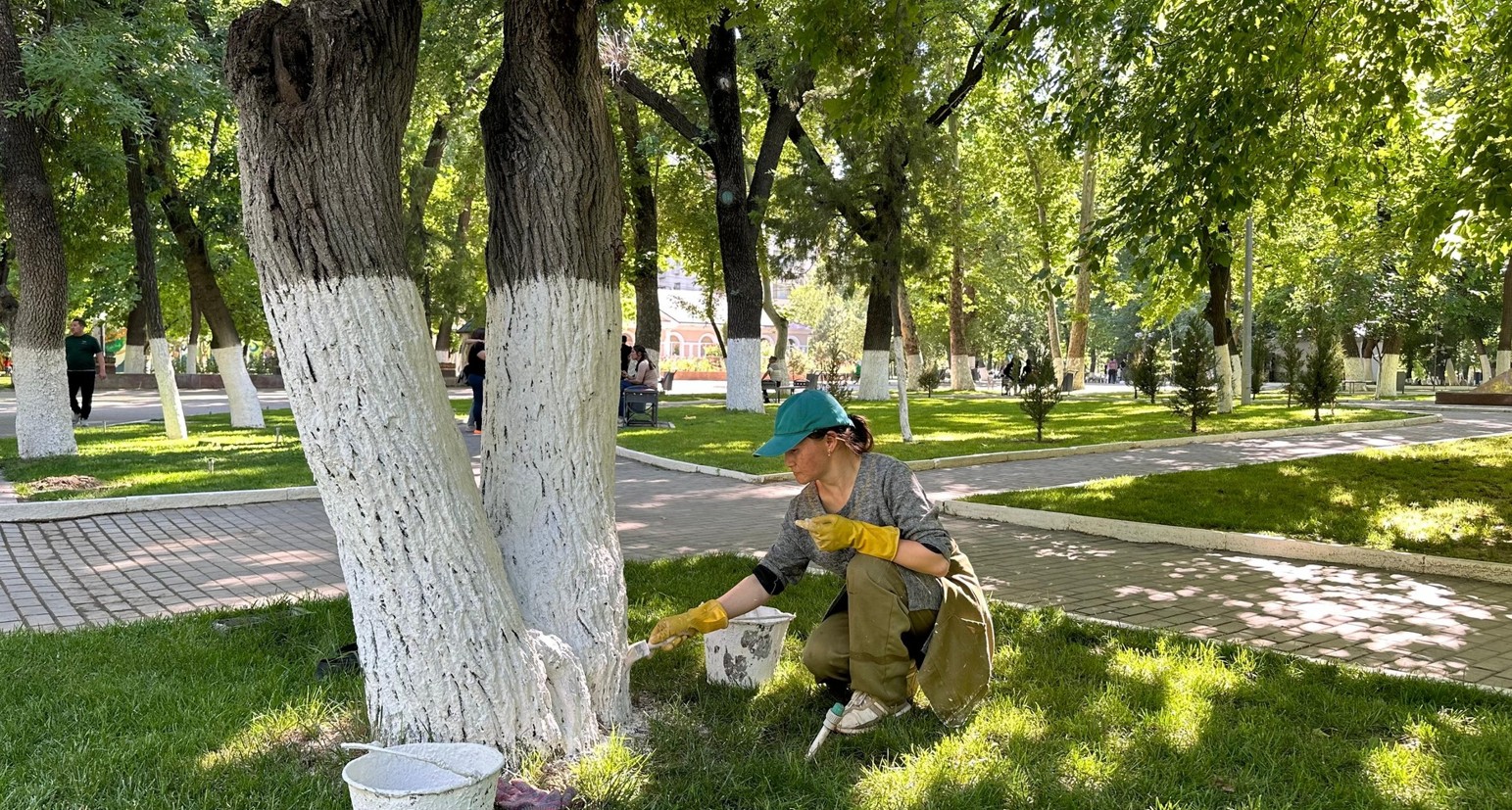 Табиғатқа жанашырлық