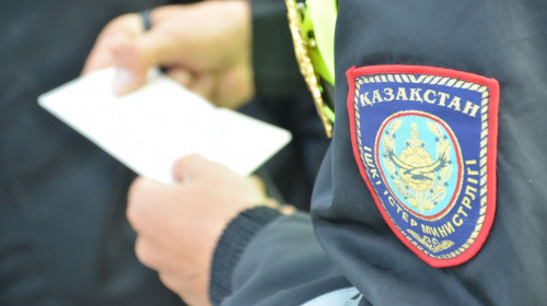 Қазақстанда тұрмыстық зорлық-зомбылық азайып келеді - ІІМ