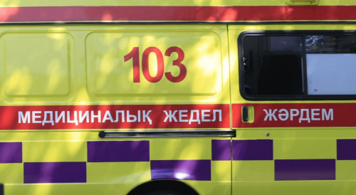 СҚО-да түгел бір отбасы астан уланып, 2 баласынан айырылып қалды