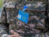 Отарда комаға түскен сарбаз: Президент арнайы тапсырма берді