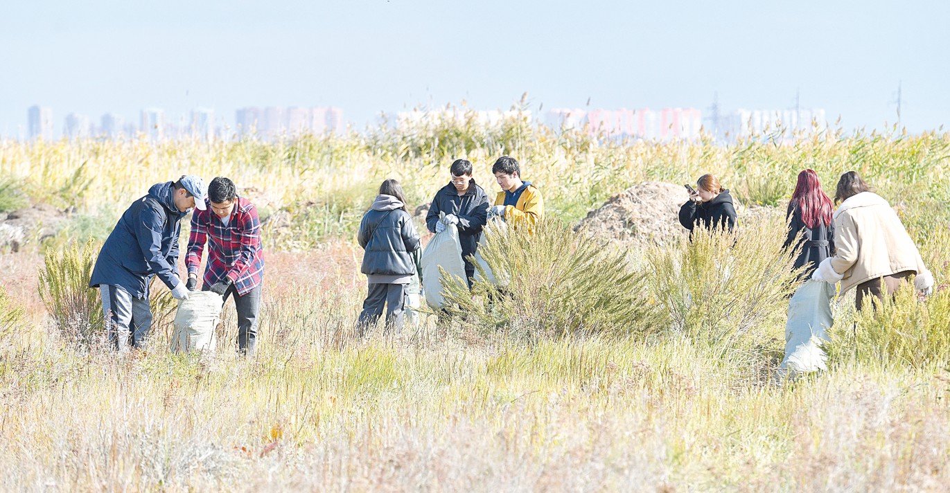 Аймақ ажарланып қалды