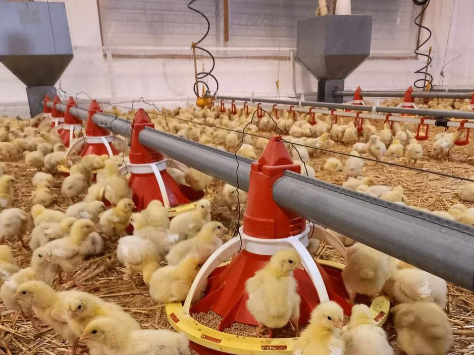 Шаруашылығы шалқыған күн туар