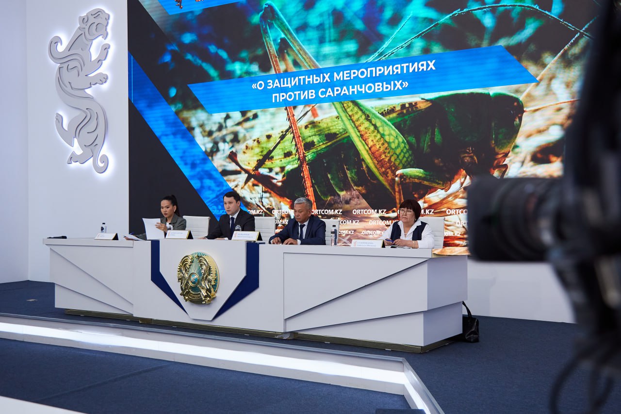 Бірнеше өңірде үйірлі шегірткеге қарсы күрес аяқталды