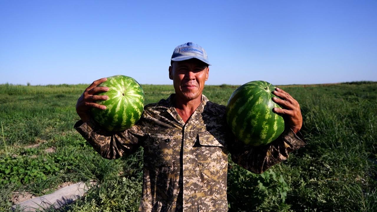 Министрлік. Телеграм