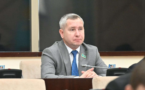 Жолдауда елдің дамуы үшін ұтымды ұсыныстар айтылды - сенатор