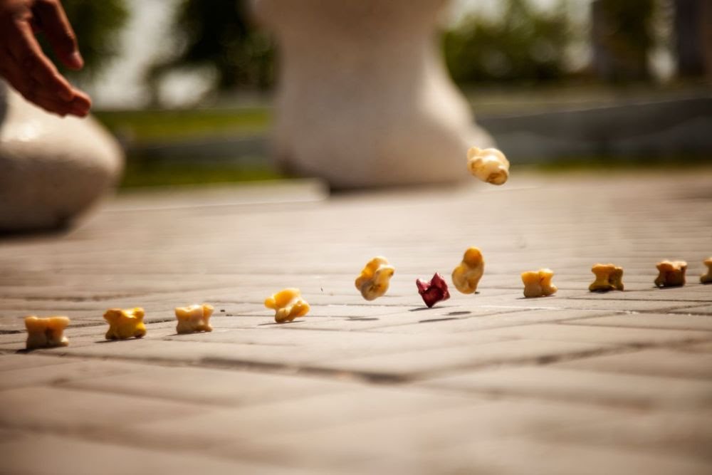 Бүгін асық атудан 8 спортшы ел намысын қорғайды