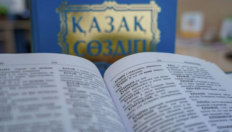 Аудиторияның 80 пайызы қазақ тілді контентті тұтынады – Аида Балаева