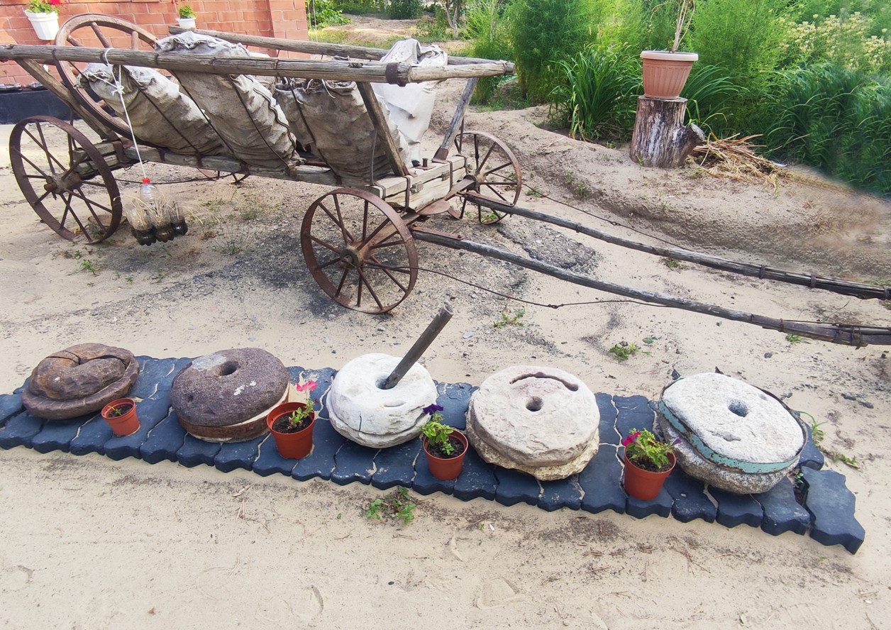 Шалқардағы айрықша құндылықтар