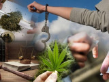 Сенаторлар есірткі саудасына қарсы заңды мақұлдады