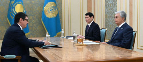 Мемлекет басшысы Энергетика министрін қабылдады