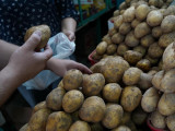 Алматыда бір адамға 5 келіден артық картоп сатылмайды