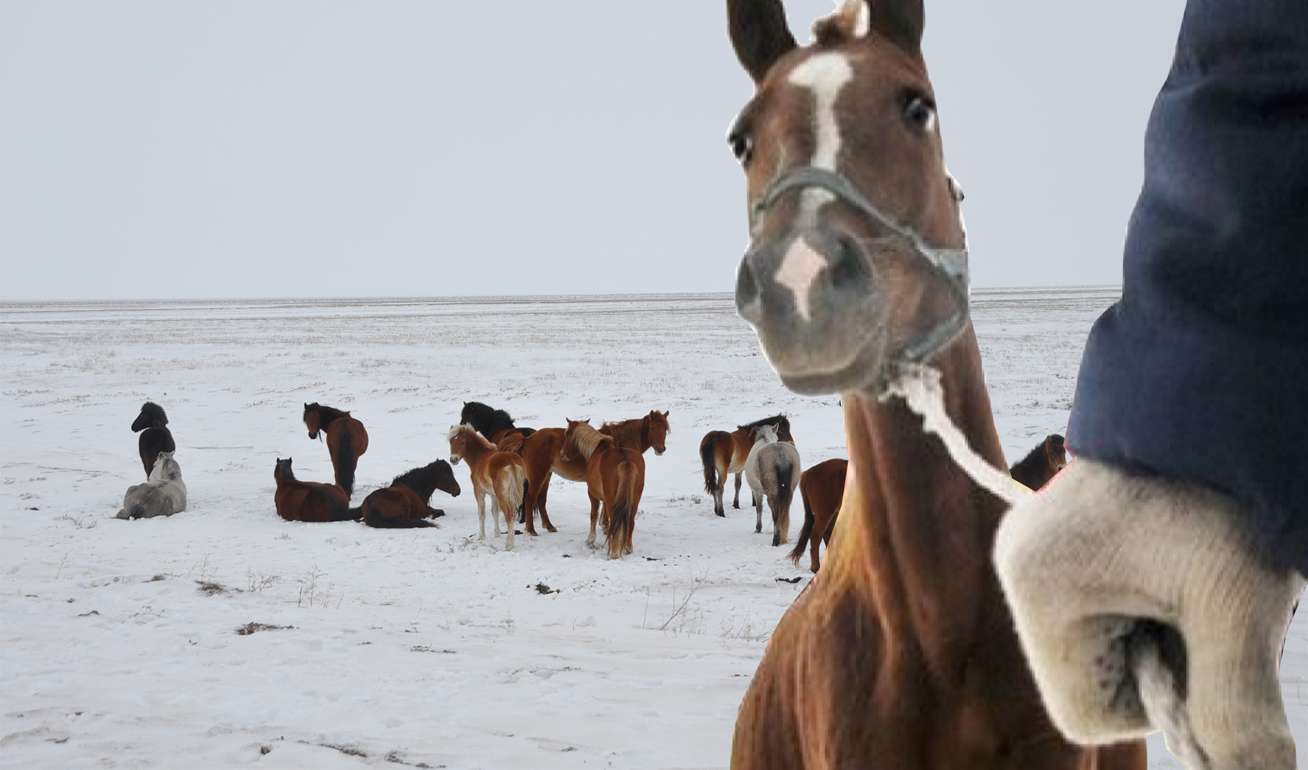 Малыңа абай бол, ағайын!