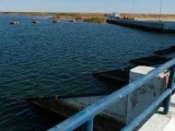 Солтүстік Аралға 1,6 млрд текше метр су жіберіледі