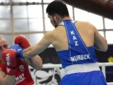 «Странджа» турнирі: Боксшылар жартылай финалға шықты