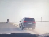 Қостанайда екі полицей жұмыстан босатылды