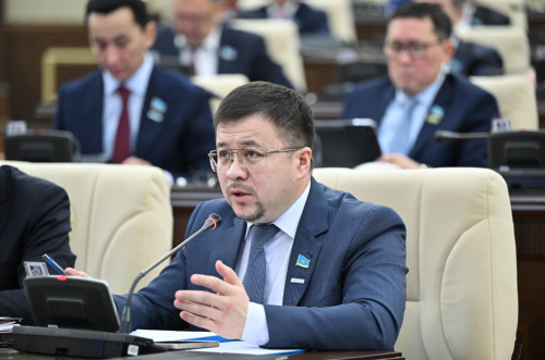 Депутат жасөспірімдердің желідегі әрекетін бақылаудың жаңа жолын ұсынды