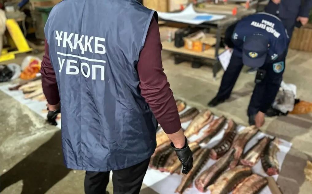 Атырауда бекіре уылдырығын тасымалдаған күдікті ұсталды