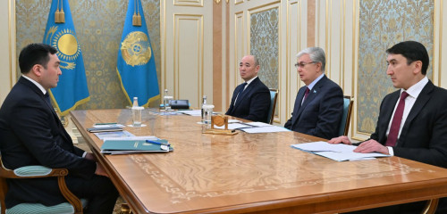 Мемлекет басшысы Энергетика министрін қабылдады