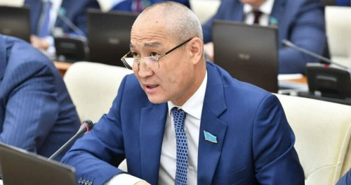 Ішкі саясатқа сыртқы күштерді араластырмау керек - депутат