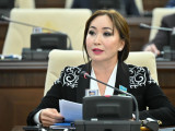 Мектеп бағдарламасына агроөнеркәсіптік білімді енгізу қажет – депутат