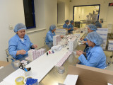 Шағын бизнесті дамытуға 70 млн теңгеден астам несие беріледі