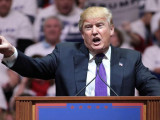 Гарвард университеті Дональд Трампты сотқа берді