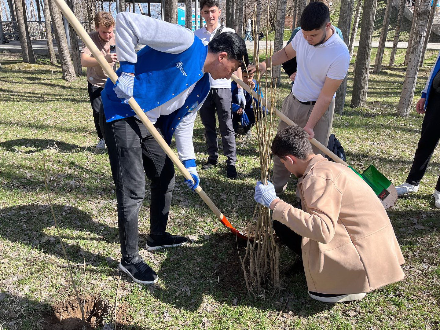 Шымкентте сакура гүлдеді
