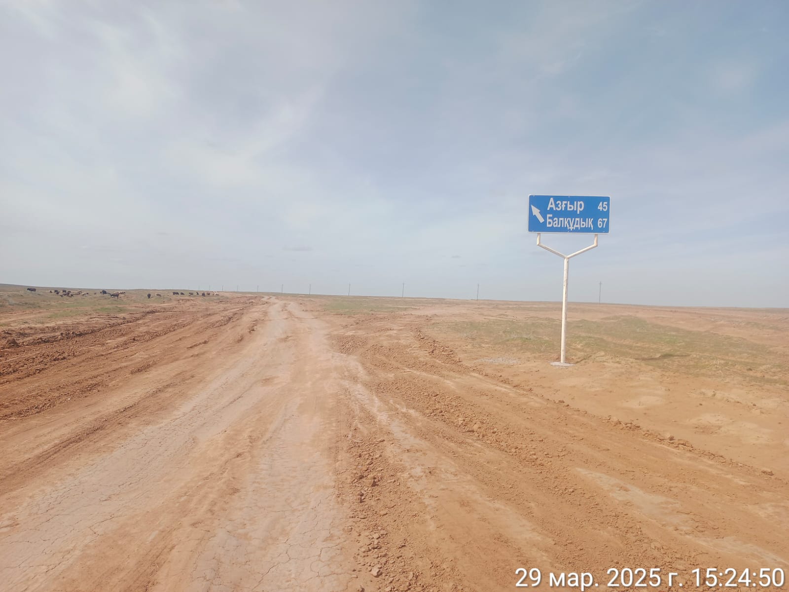 в