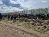 Кейінгі үш жылда неше түп көшет отырғызылды?