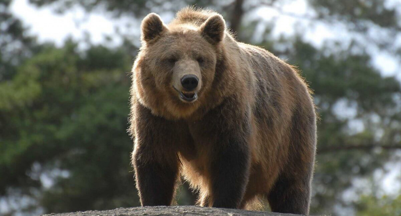 Үйдегі жалаңаш суреттер