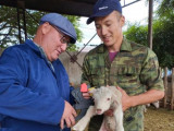 Жетісуда ветеринарлық нысандар тапшылығы жойылады