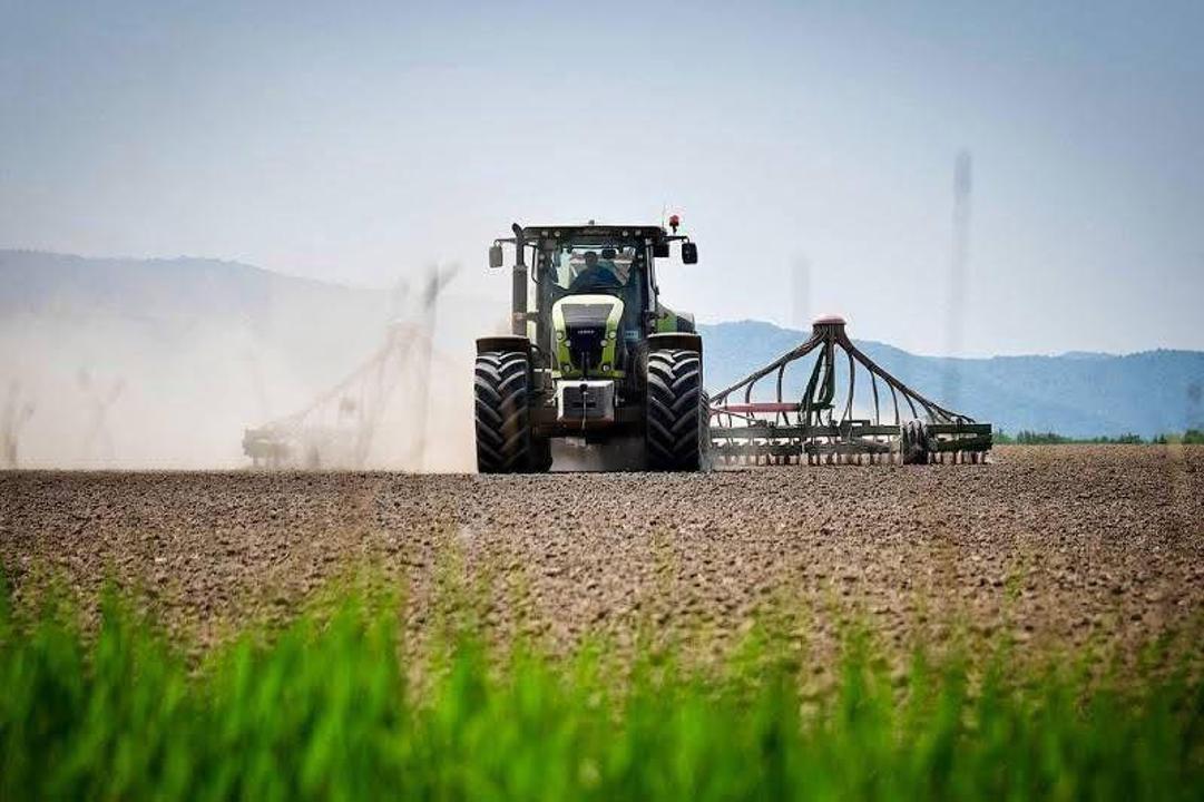 Көктемгі егіске 6 мыңнан астам ауыл шаруашылығы өндірушісі жеңілдетілген қаржыландыру алды