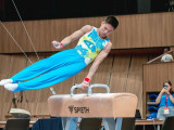 Гимнастар финалға жолдама алды