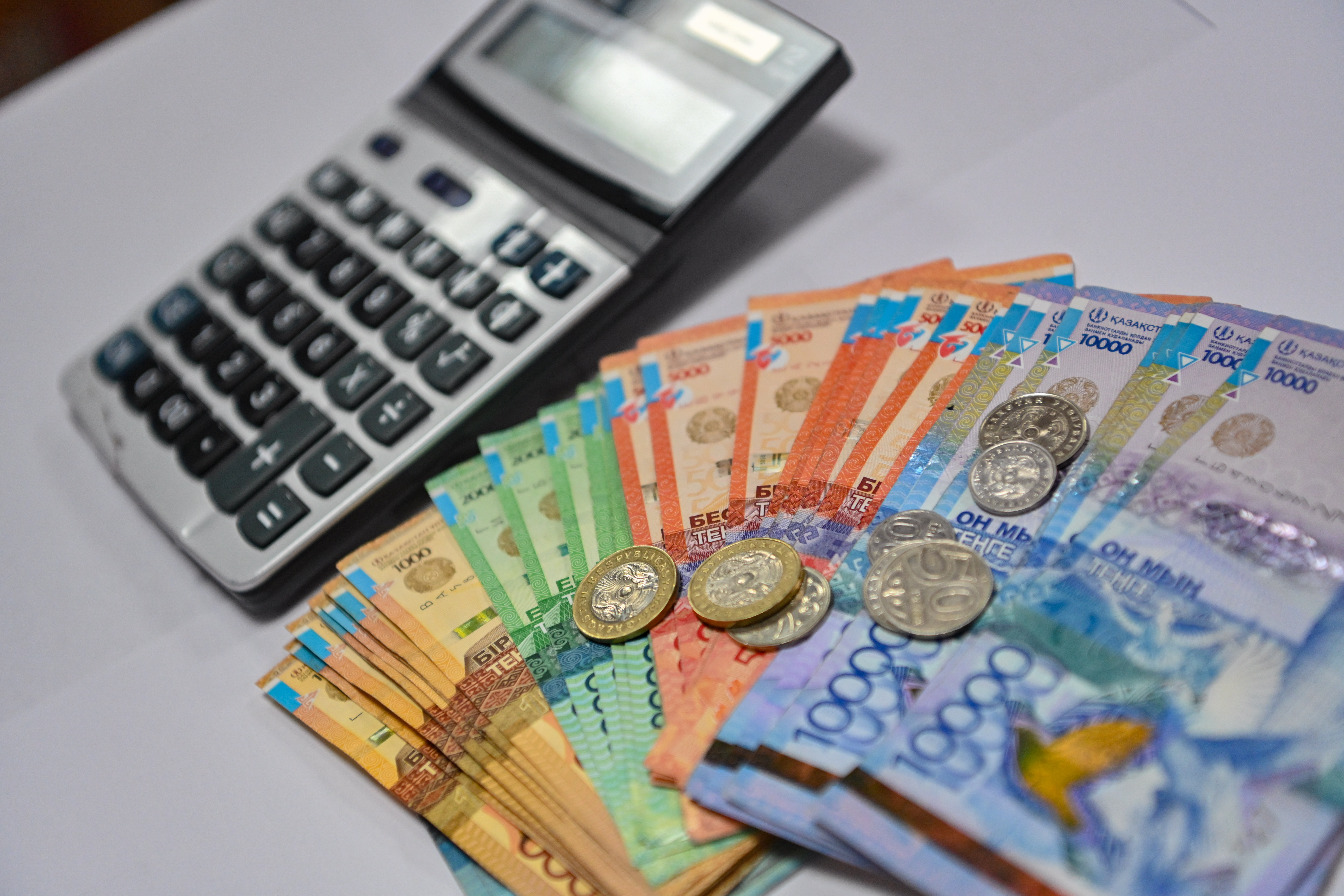 Биыл көпбалалы отбасылар 202 млрд теңге жәрдемақы алды