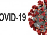 COVID-19 вирусының таралуы күрт азайды – министрлік