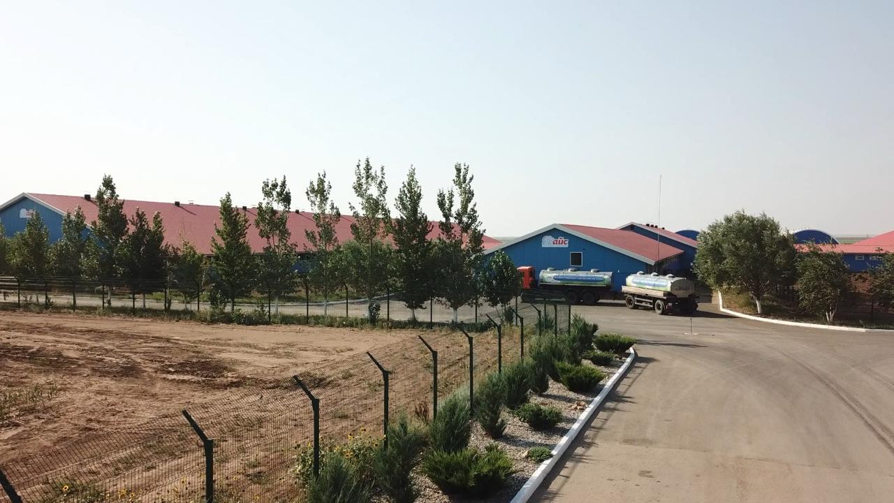 л