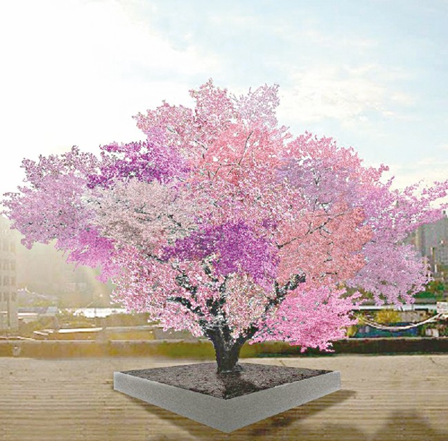 Бір ағашта қырық жеміс өседі