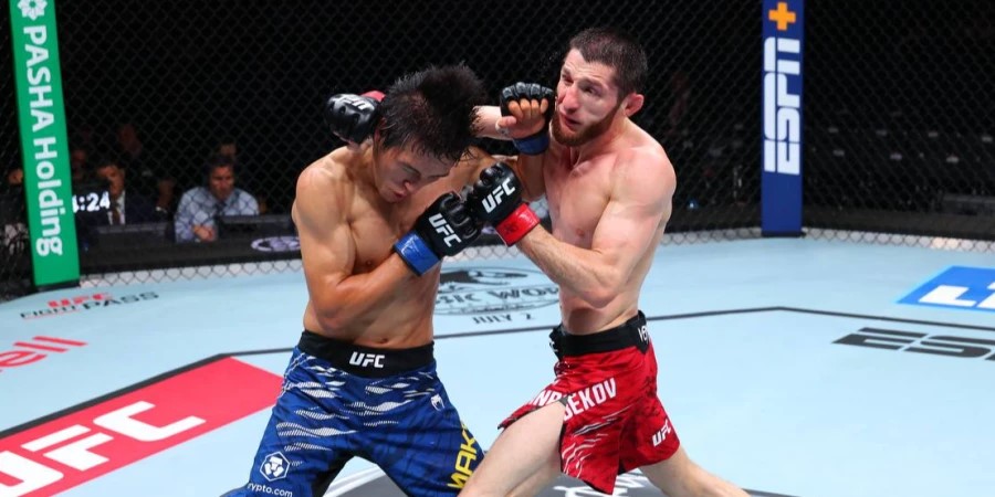 Жарыс күнделігі: UFC