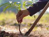 Степногорскіде «Таза Қазақстан»  акциясы өтеді