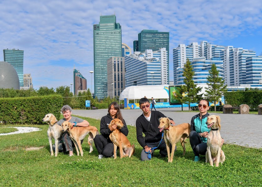 Қазақ тазысы халықаралық көрмеге қатысады