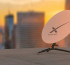 Қазақстанда Starlink спутниктік интернеті  ресми түрде іске қосылды