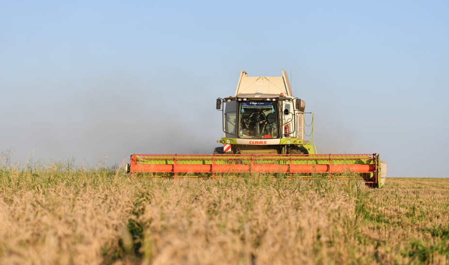 Қамба дәнге толар күн жақын