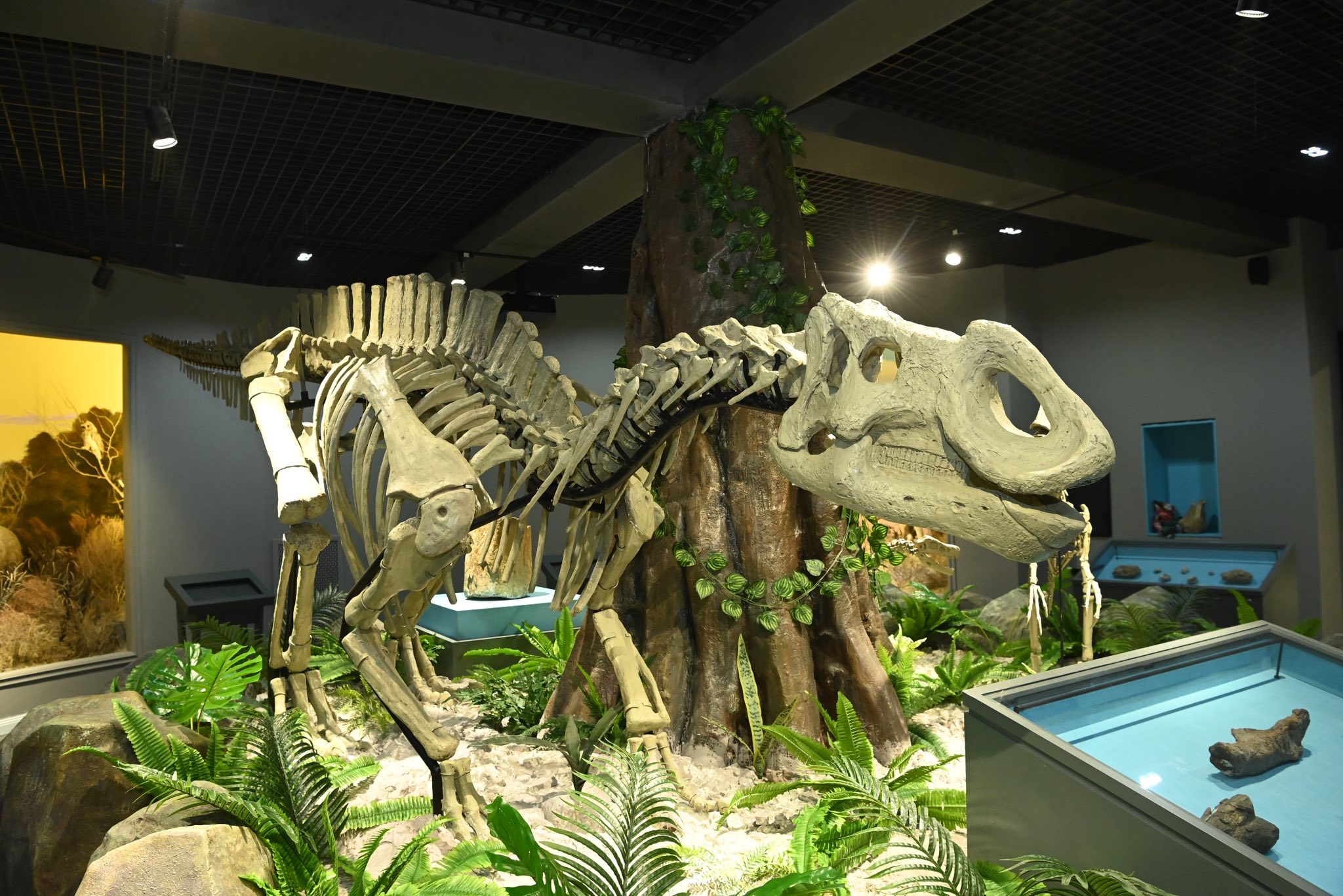 «Аралозавр» Сырға қайта оралды