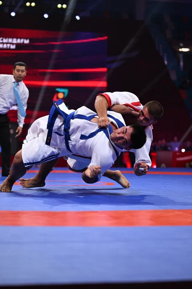 Әлем чемпионаты: 4 алтын, 3 күміс, 1 қола