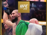 Хамзат Чимаев UFC чемпионы атанды