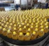 Елімізде күнбағыс майының өндірісі 24,9% артты