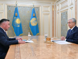 Президент Жоғарғы Сот төрағасын қабылдады
