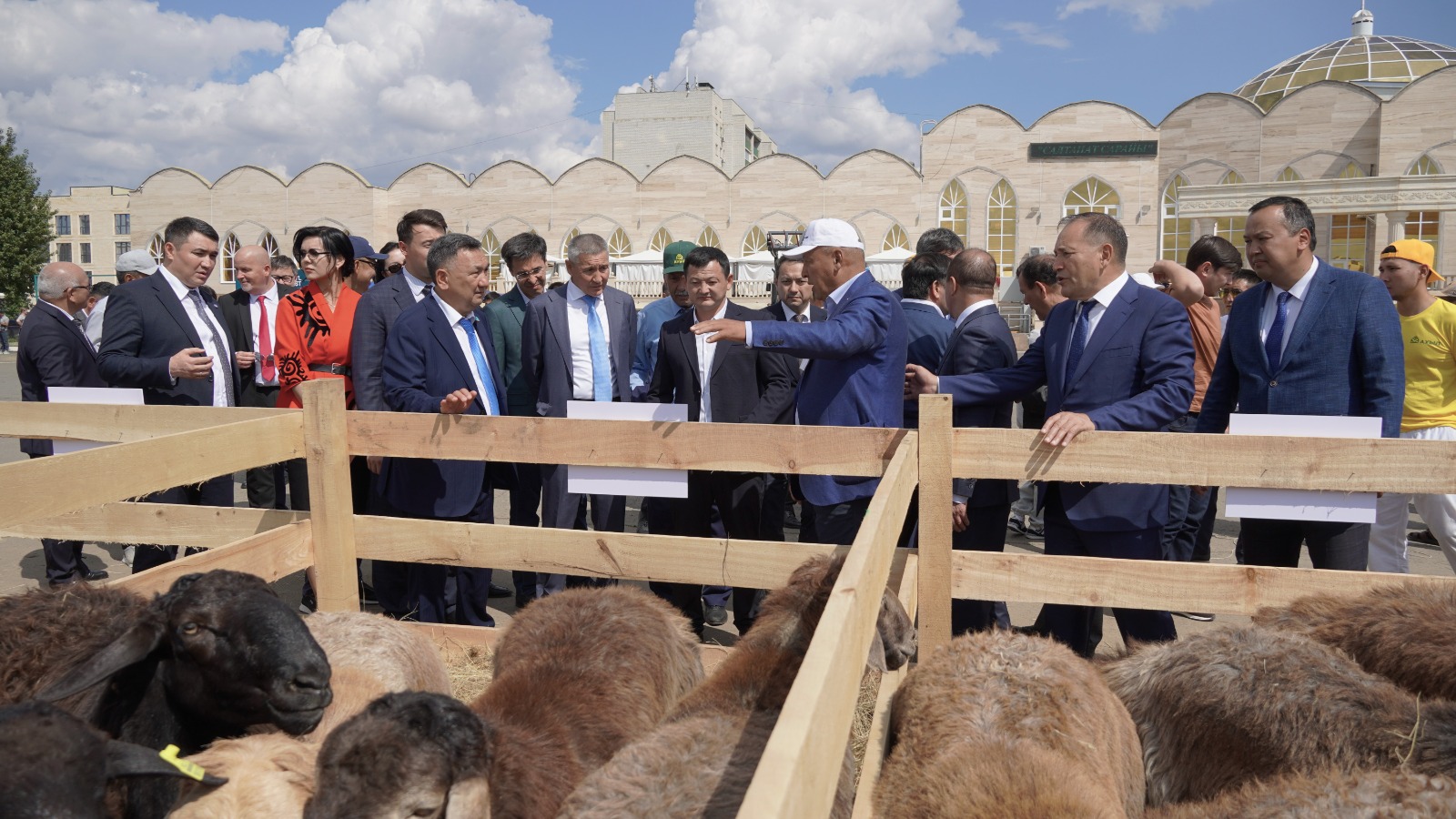 Қой саны кеміп барады