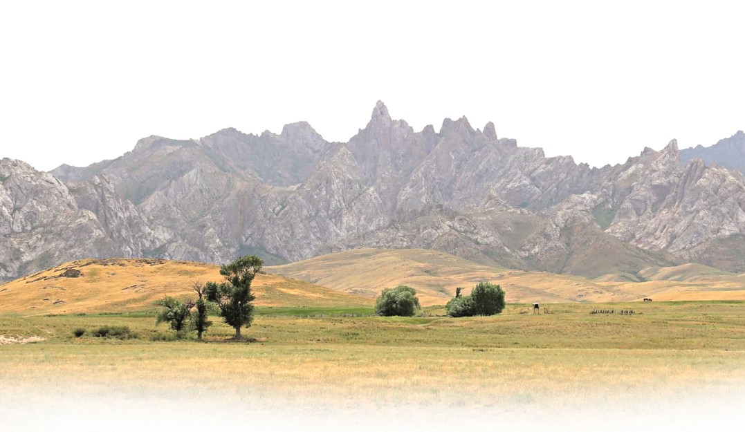 «Ауыл ғана ауыспайтын астана»