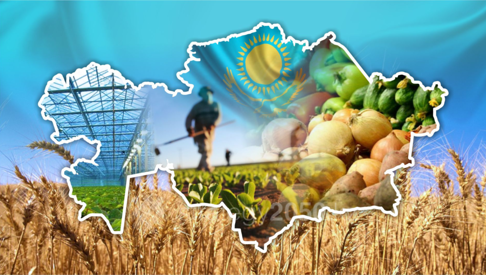 Жолдау 2024: Қайта өңдеу саласында екі мың кәсіпорын жұмыс істейді